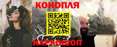 сатива Коммунар