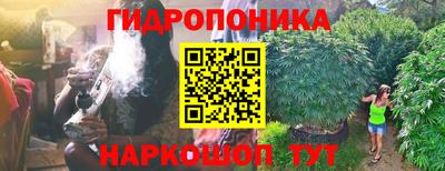 хмурый Конаково