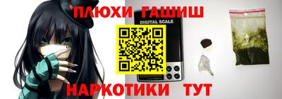 сатива Коммунар
